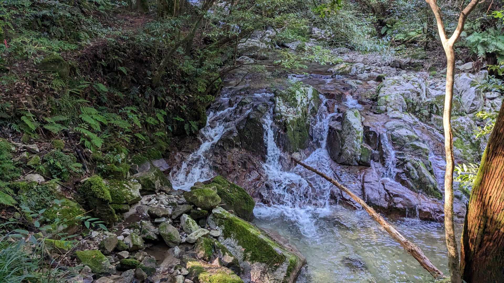 滝の水量は多く