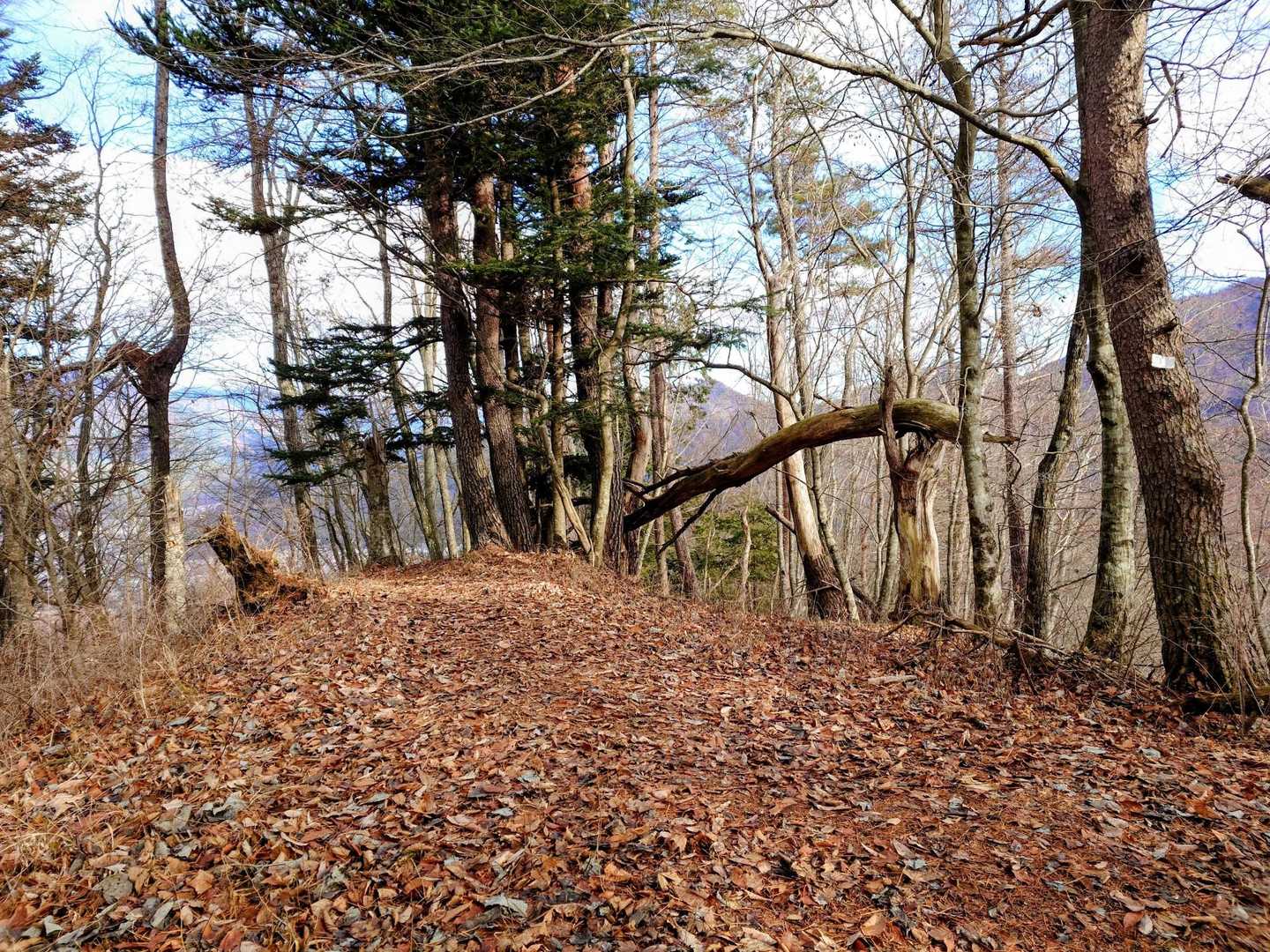 権現山山頂✨️ここからの道が分かりにくい。来た道戻れば良かったかも
