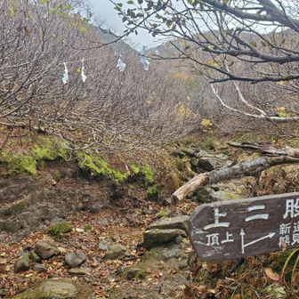 上二股。帰りはここから熊見峠でおります。