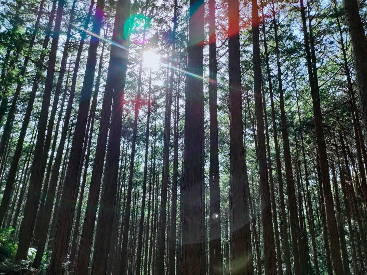 楽しかったぁぁぁぁ(༎ຶ⌑༎ຶ)