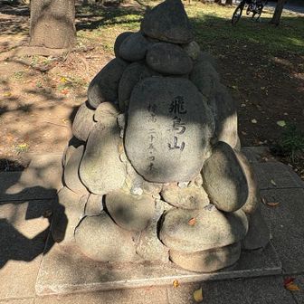 飛鳥山山頂