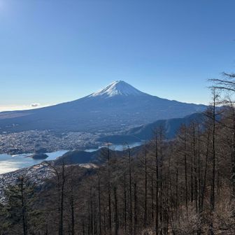 なんちゅうエエ景色だこと🤩