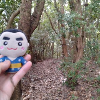 この辺が標高点　624ｍ