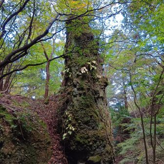 逆鉾岩
