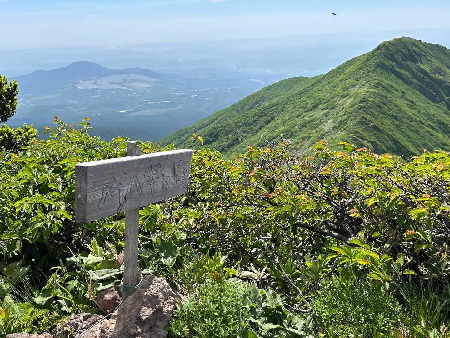 5座目🙌アイハギの峰