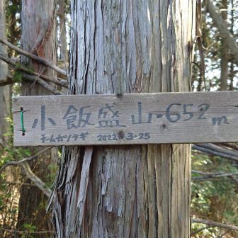 小飯盛山 到着
ここから田代峠までのルート
テープはあるが倒木で通れない
ルートをまいたり枝や雑草で
テープを見落としやすいので
確認しながら慎重に