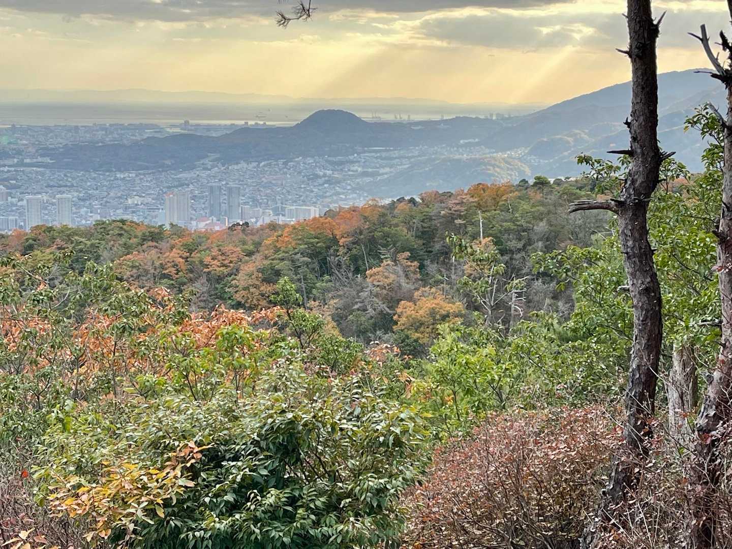 天宮塚からの景色は、甲山が良く見えました⛰️