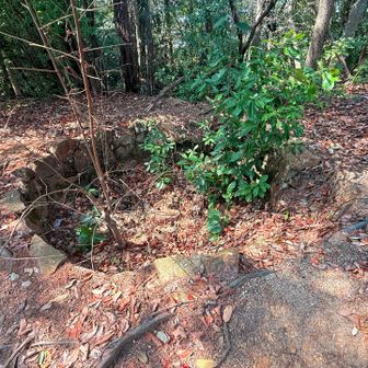 二葉山の山頂には高射砲台の跡がありました