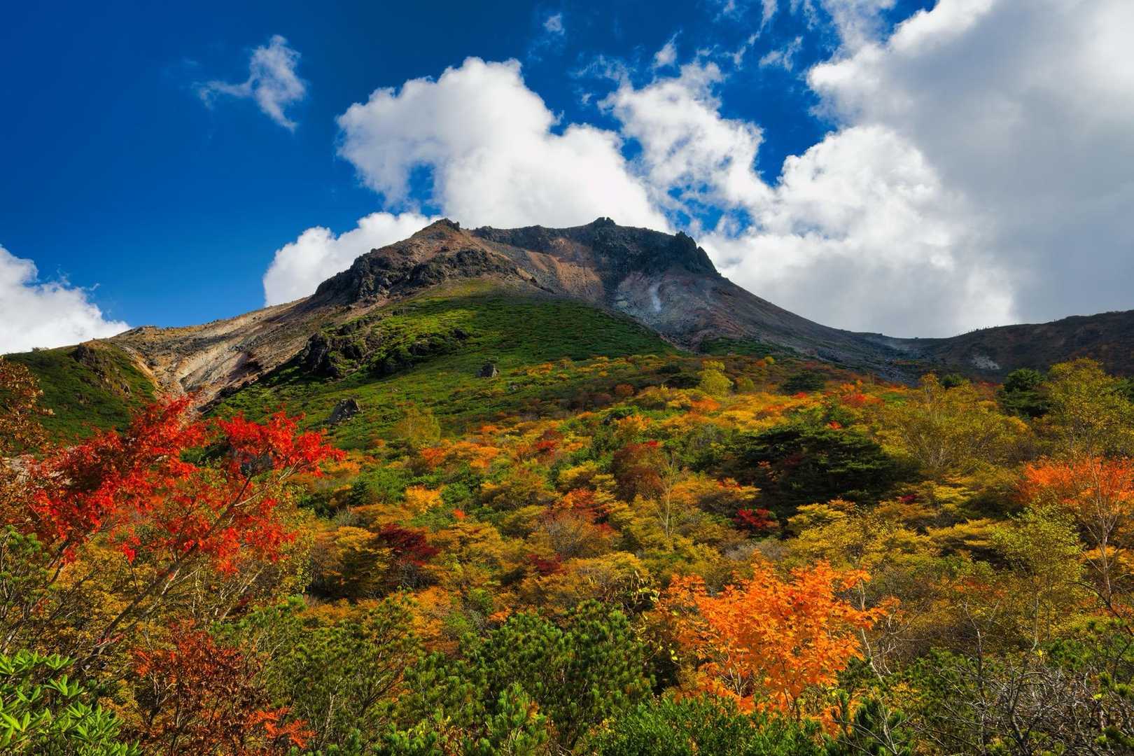 ロープウェイ山頂駅発着｜姥ヶ平散策コースの写真