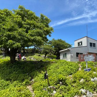 藤原山荘に到着
避難小屋とトイレがあります