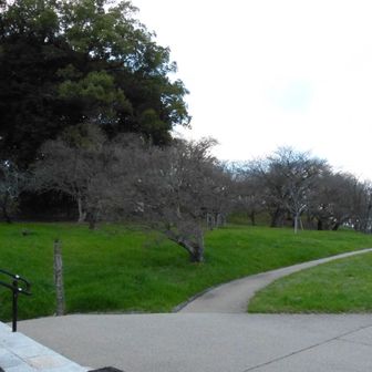 公園の出口より。