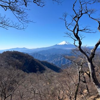 ツツジ新道からの下山時、富士山見納め