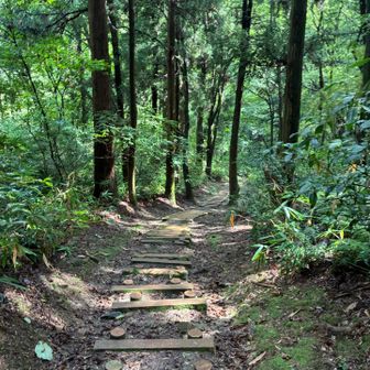 法尻山を降りる