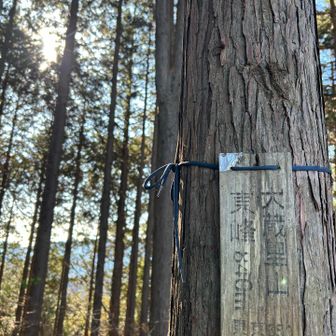 大蔵里山東峰840m