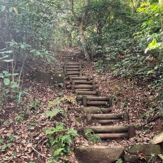 直登コースは階段だらけです