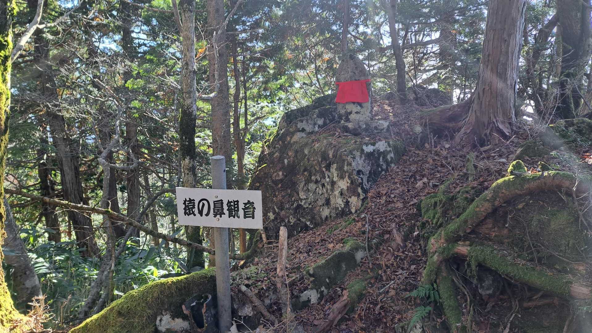 数年振りの交換