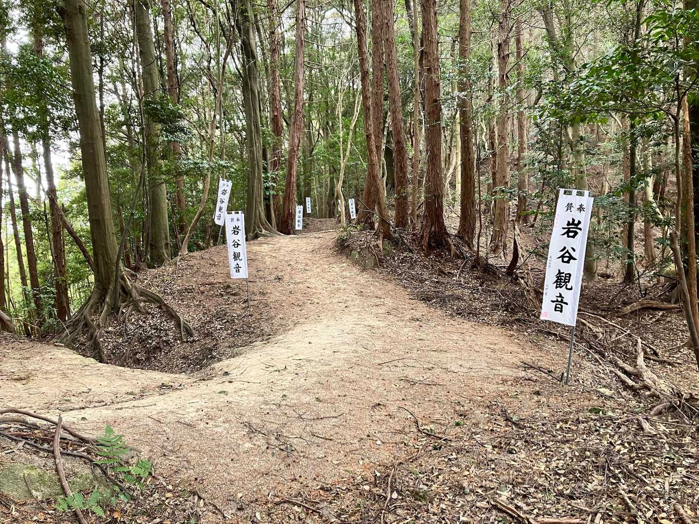 裏参道へ