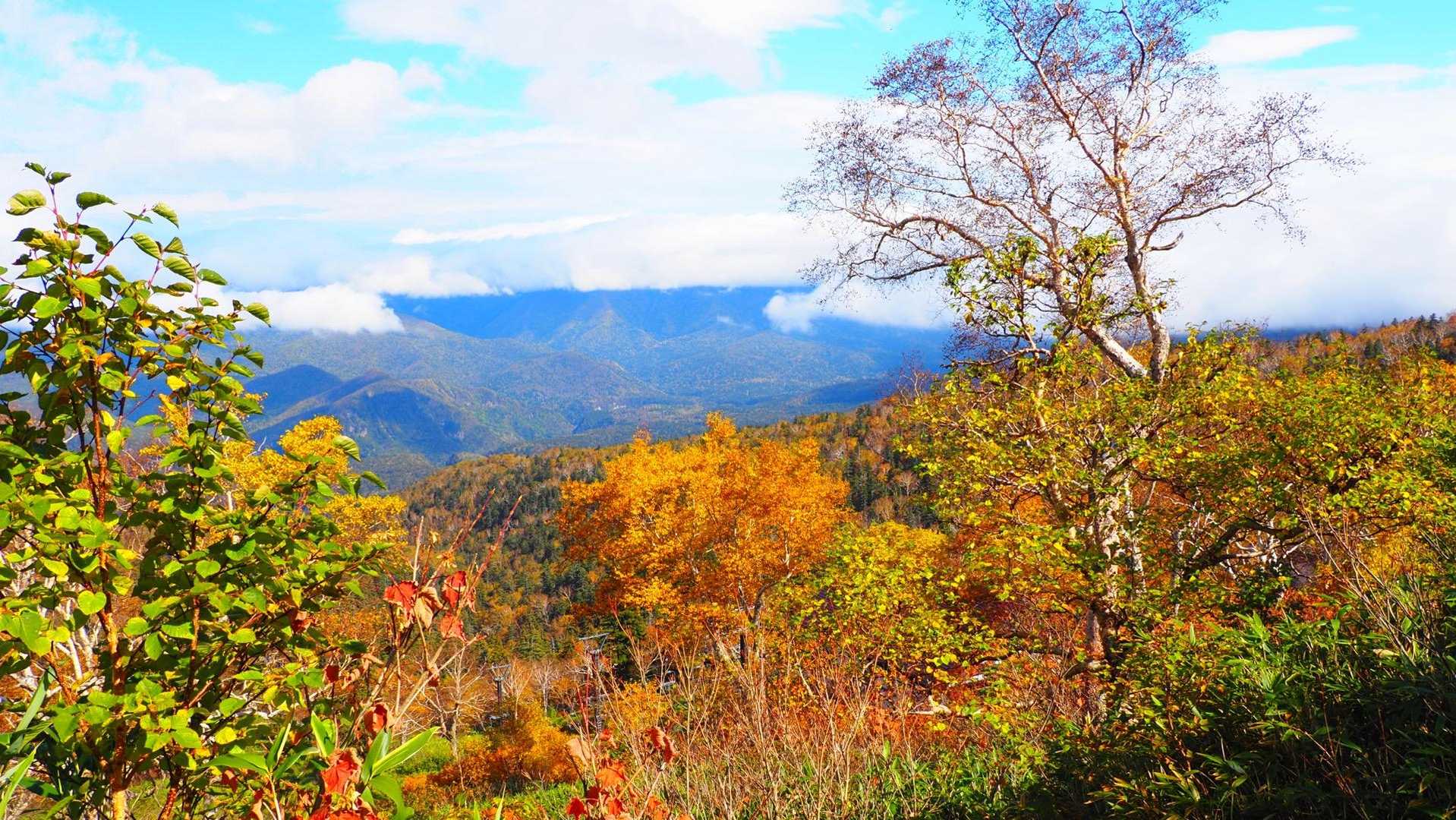 7号目の手前まで、ロープウェイとリフトで移動♪

たまに見える展望﹅
紅葉🍁の綺麗な景色😊
