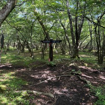 本日最初のピーク・立山に到達。あまり山頂っぽくないが…