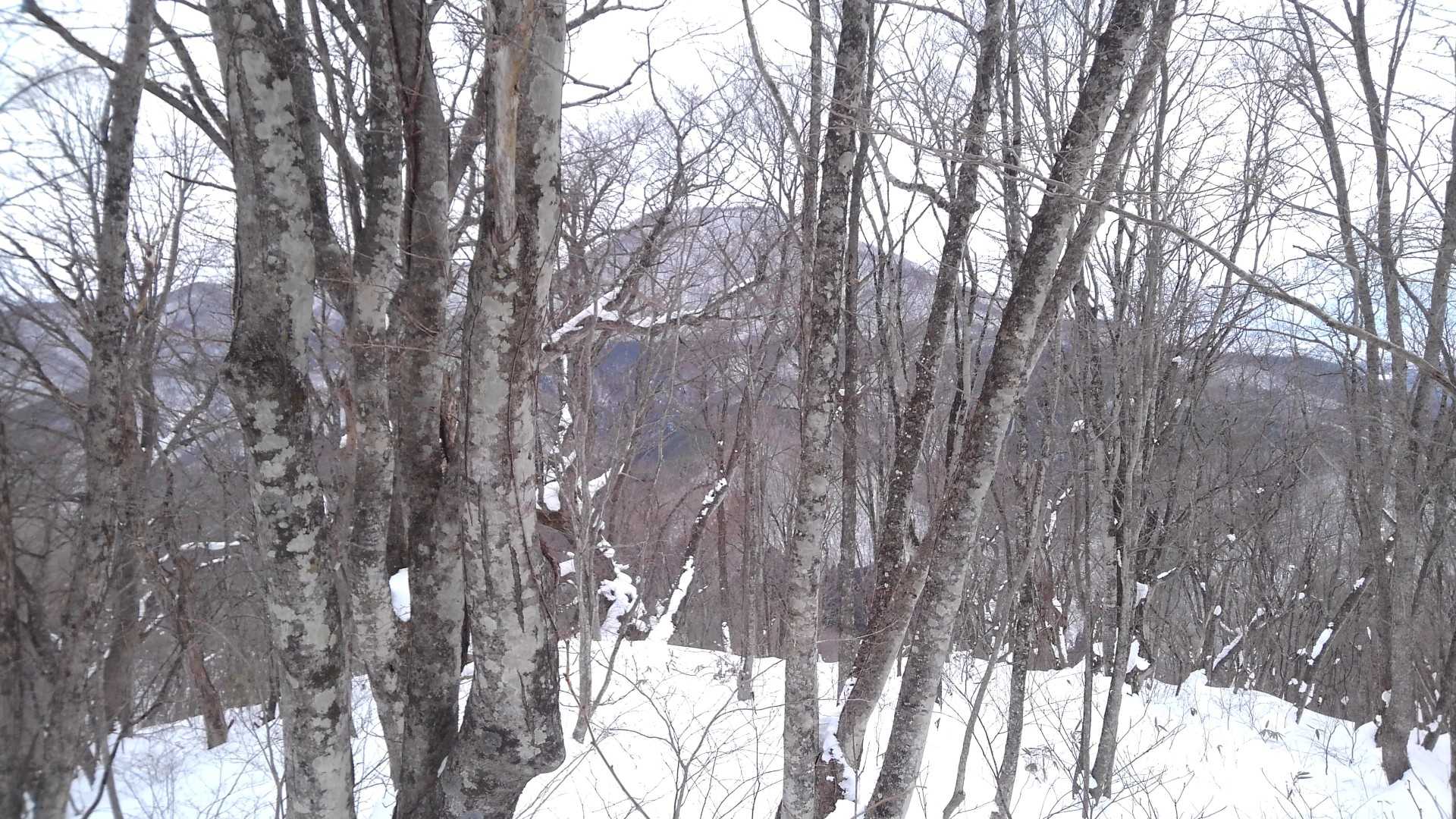 東根山が見えました👀