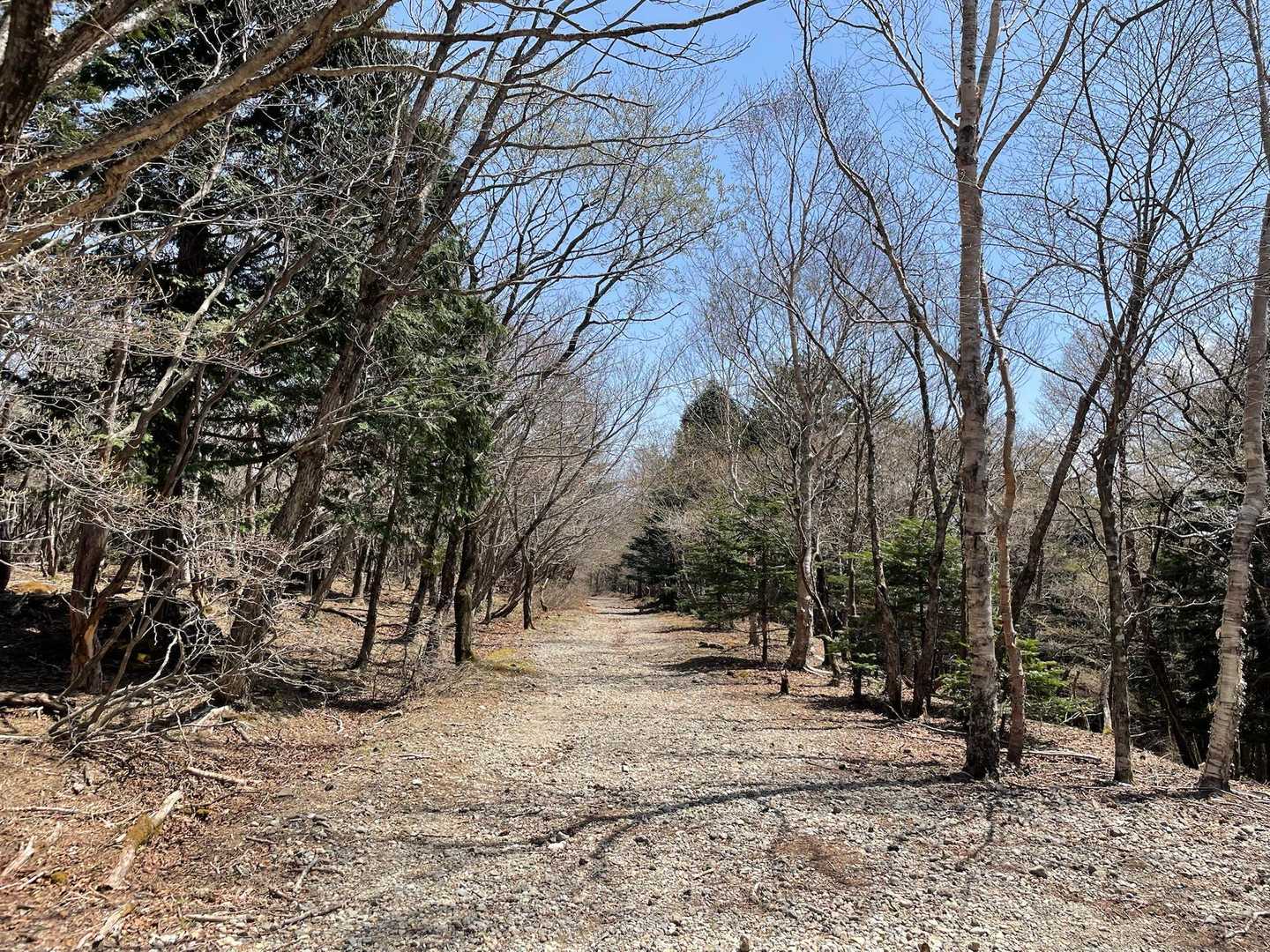 ここまできたら駐車場まですぐ🔜

次に来る時はシロヤシオの時にこよう！と心に誓ったこの日でした😊