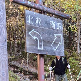 南沢から登ります