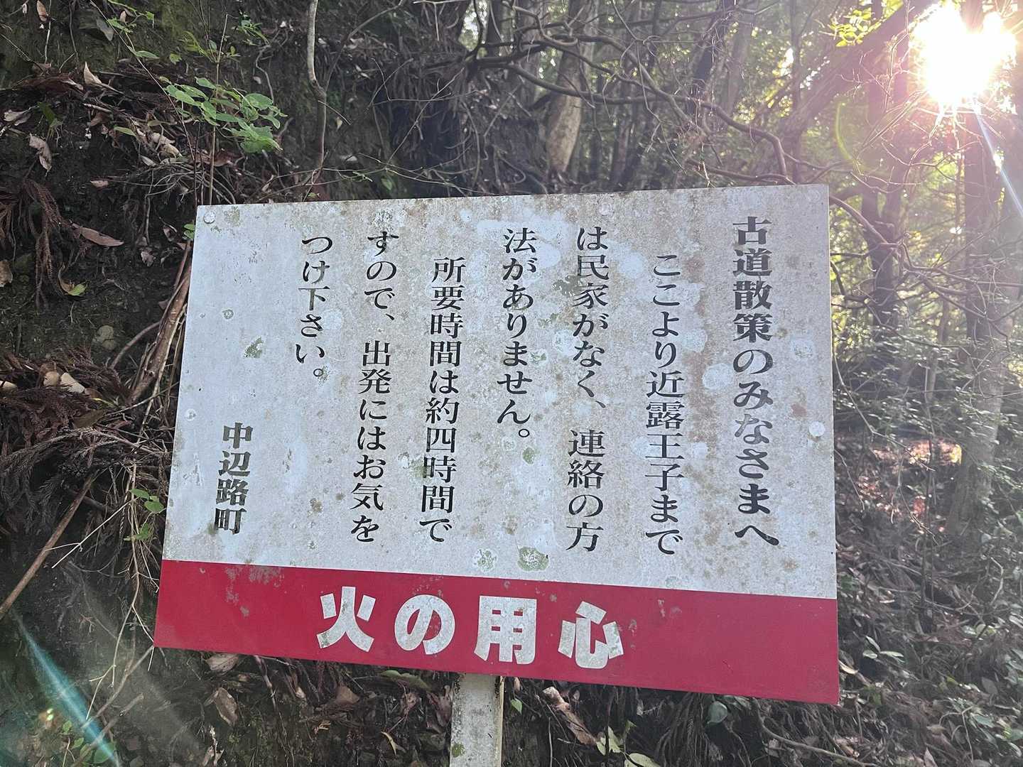 だそうです😅