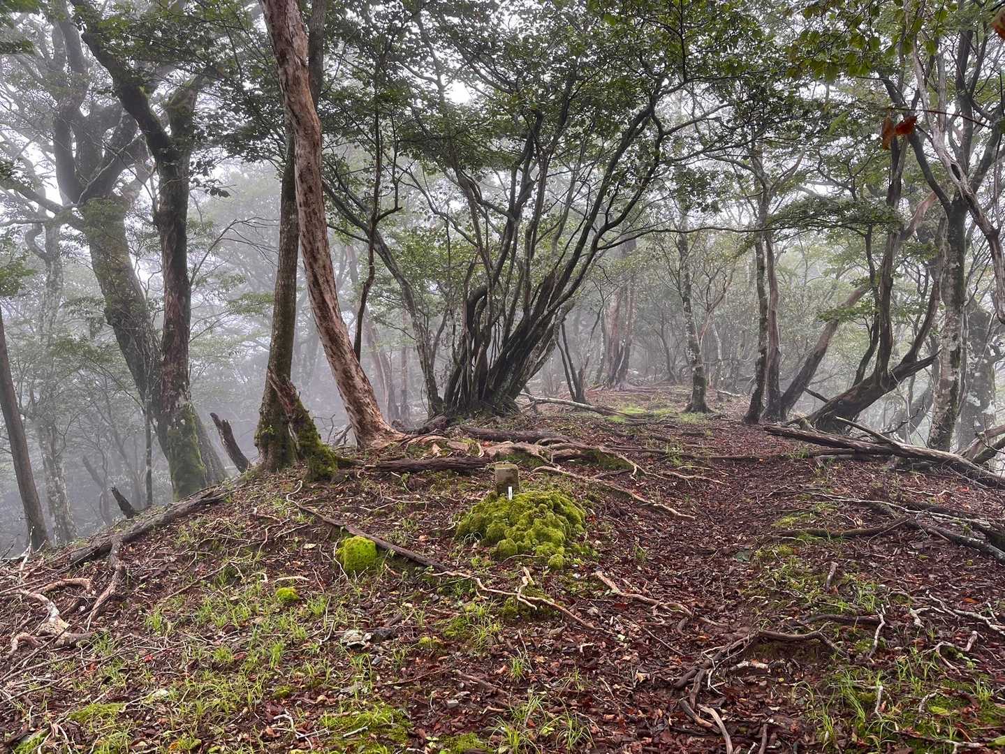 扇山登山口-扇山 往復コースの写真