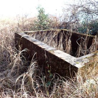 水槽これも遺構とは・
