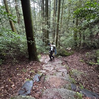 周回で下山します