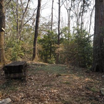 山頂全景。
ただの通り道のような山頂です。
ここでUターンします。