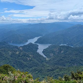 山頂から少し先のお花畑に行ってみます
「越後山脈「と「田子倉湖」が一望✨