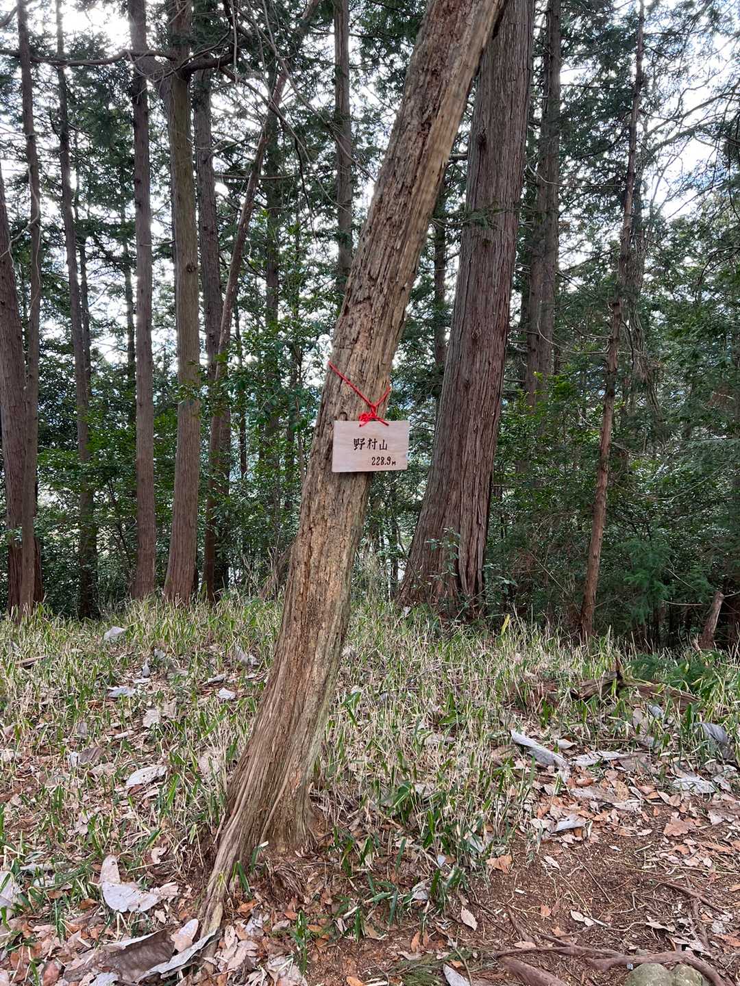 手前のピークの方が標高は高かったな、野村山…😭