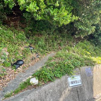 下山完了