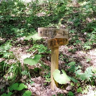 博打岩下の分岐
（直登コース、迂回コースの）