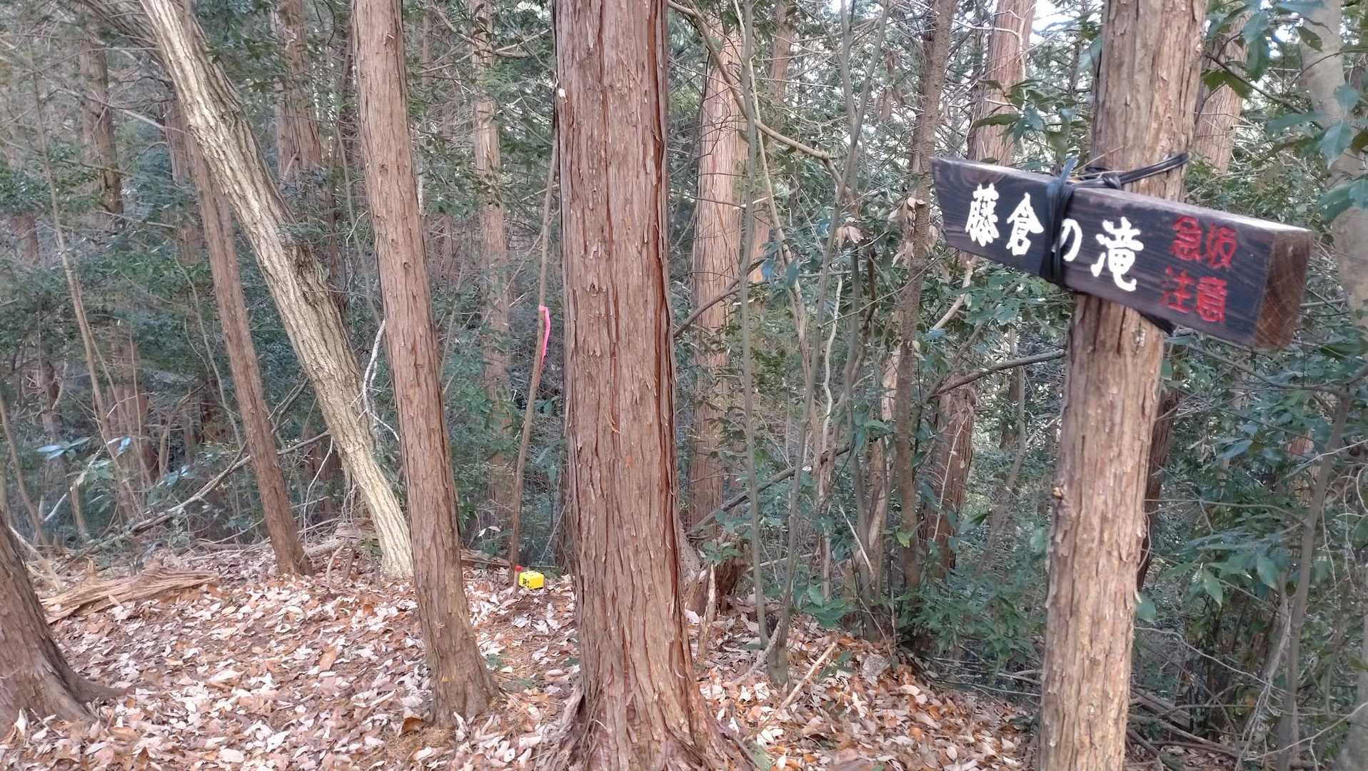 ここからは落ち葉の急坂🍂