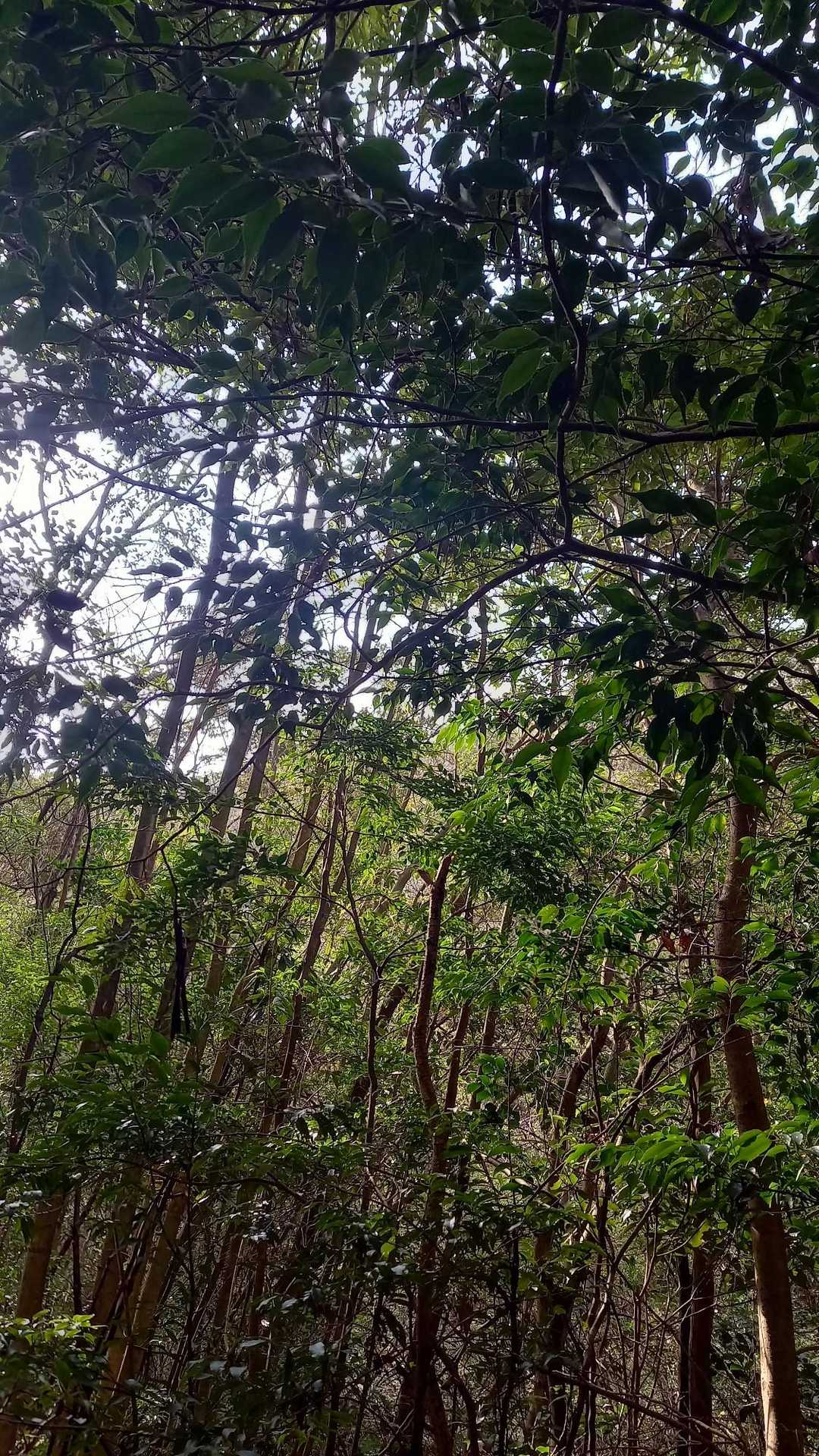 雨予報なのに下山中から晴れてキターーーーー🌞っ何で❓
