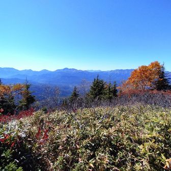 西クマからの激落ちにメンタルが削れに削れ、回避もよぎったがビリベツピークからのご褒美眺望が圧っっ巻！
しみじみ生きて来られていかったです