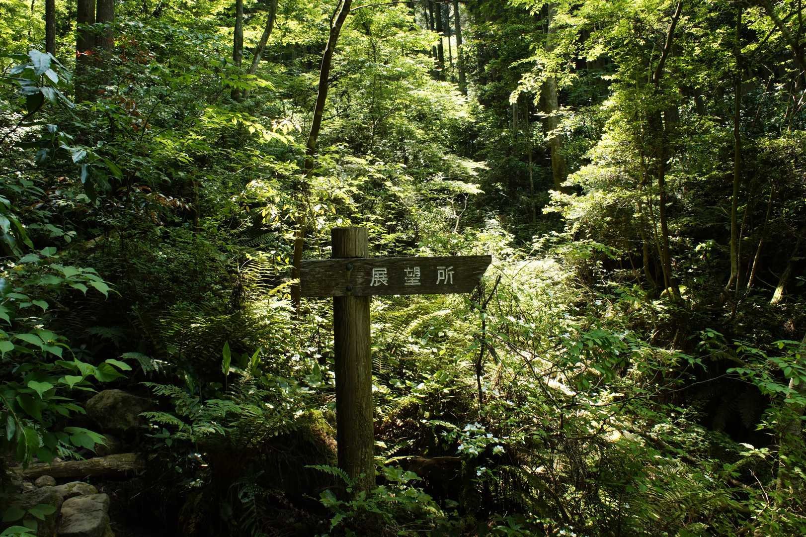 諦めて戻ってきた😩
この案内板に弄ばれてしまった😤
