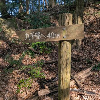 結構とおいよねぇ