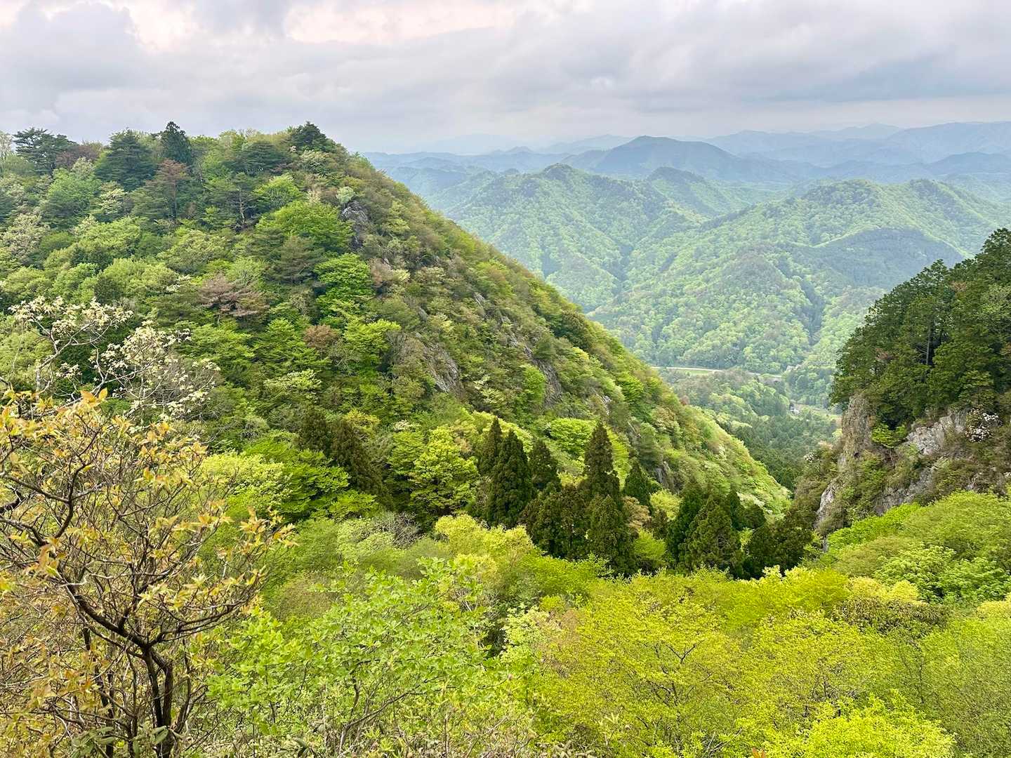 また、開けた稜線では、
周辺の山々の奥深さにうっとりです☺️
