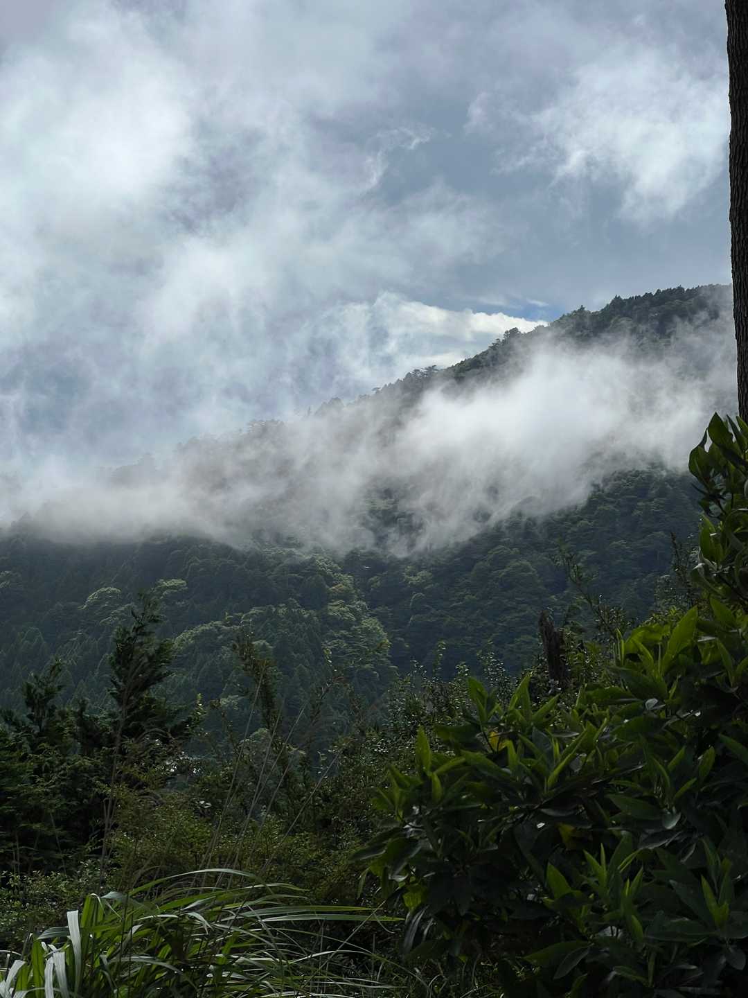 山頂方面には逆巻く雲