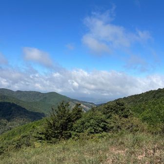 松阪方面