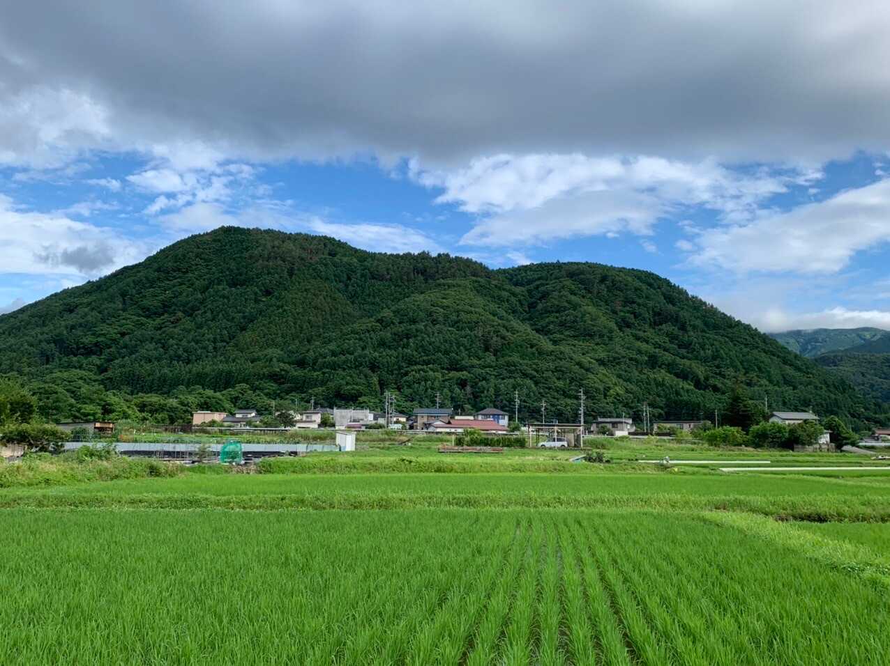 皆神山の写真