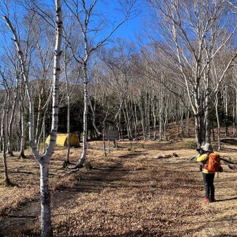 さらに進むと、避難小屋があります。