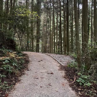 花乱の滝の階段近くに車が停められるスペースがありました。しかしここまで車で来るのが大変だなあ。