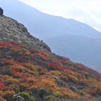 南峰の裾も🍁