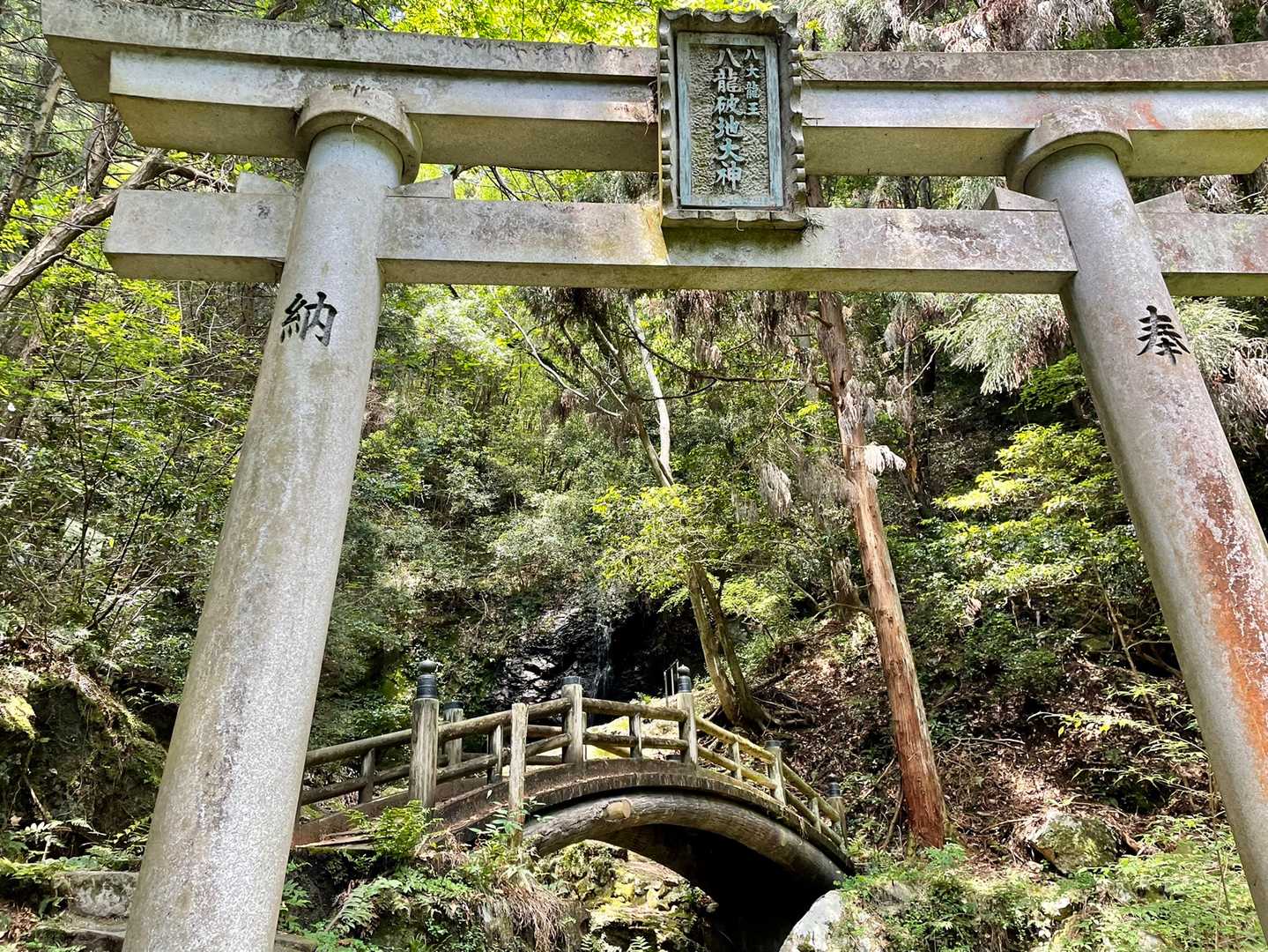 コース内。
真正面に滝。