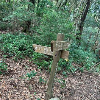 九千部山方面へ