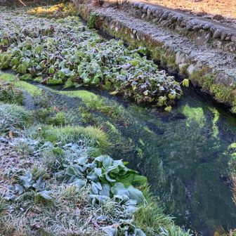 メチャキレイな水